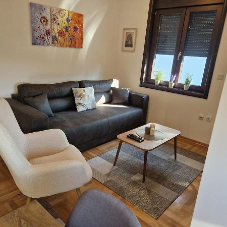 Mb Lux Appartement Vrnjačka Banja Buitenkant foto